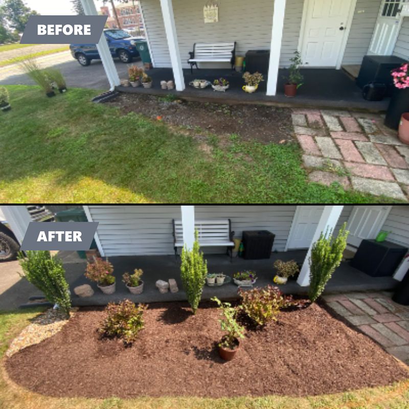 Plant & Shrub Installations