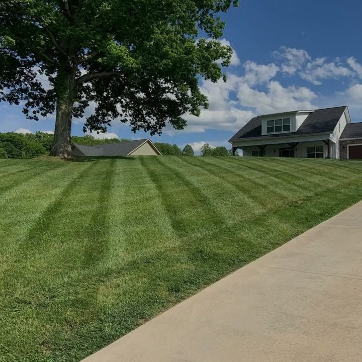 Lawn Maintenance