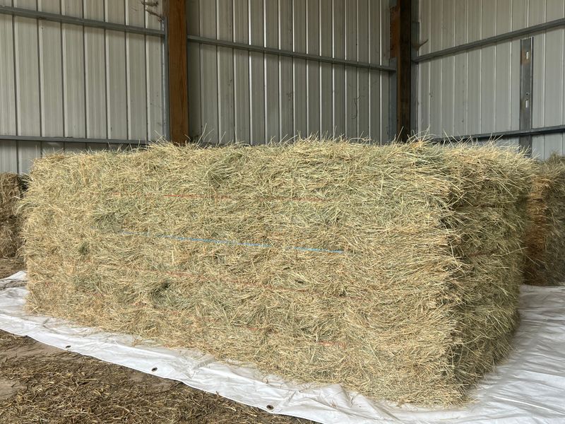Square Bale Hay