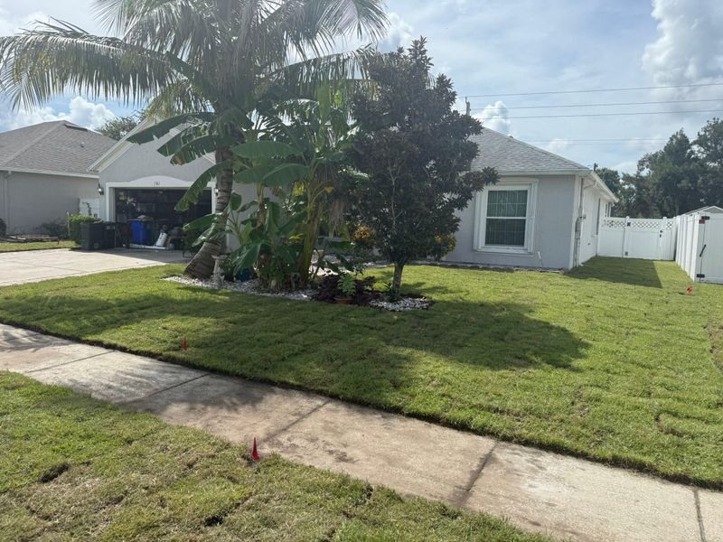 Landscape Removal