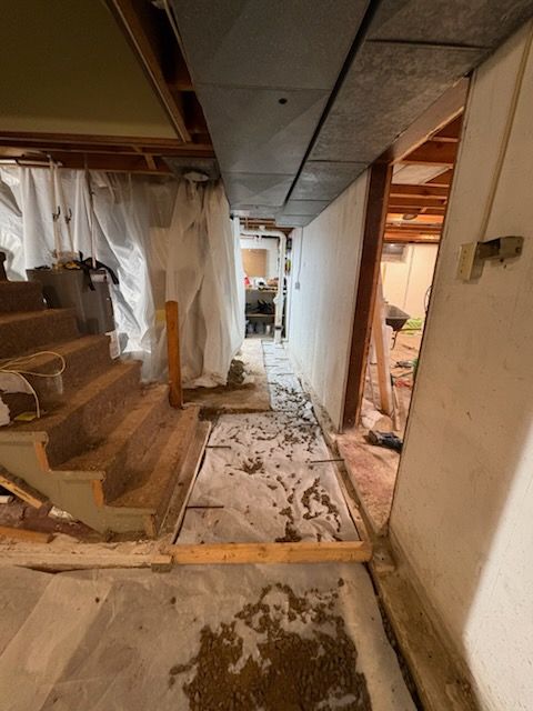 Basement Floors