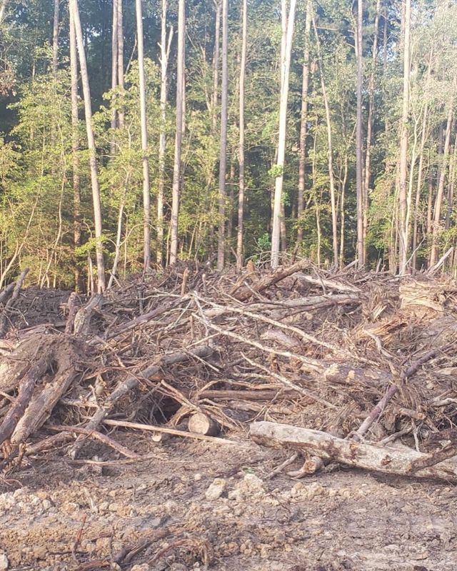 Land Clearing and Site Preparation