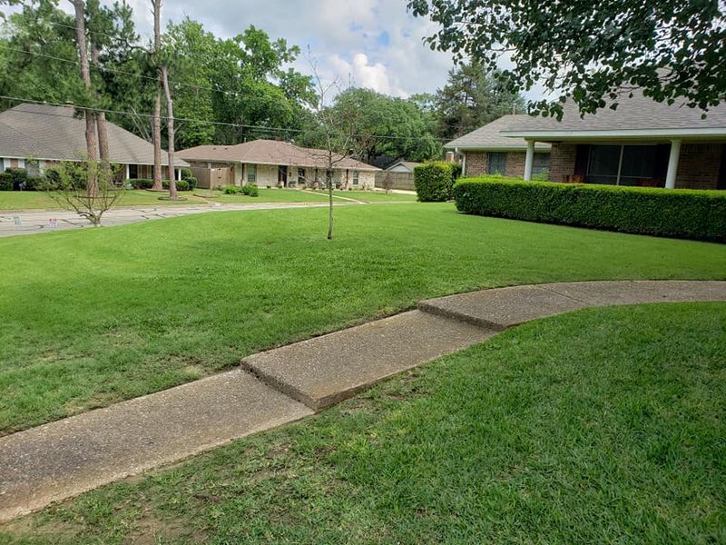 Lawn Care