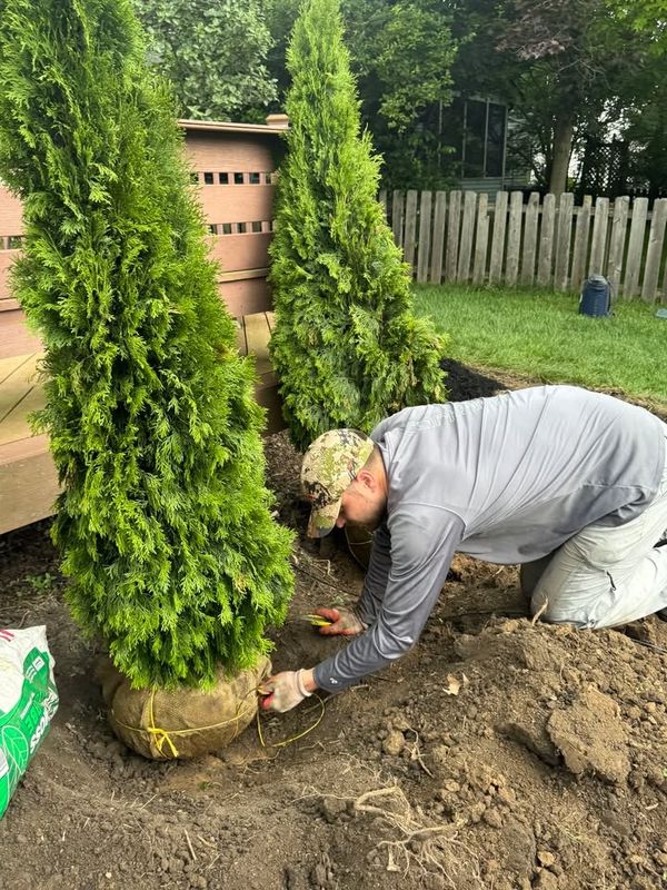 Tree Planting & Privacy Screens