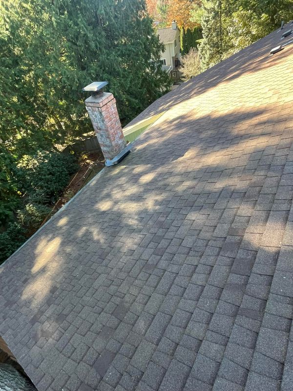 Pressure Washing