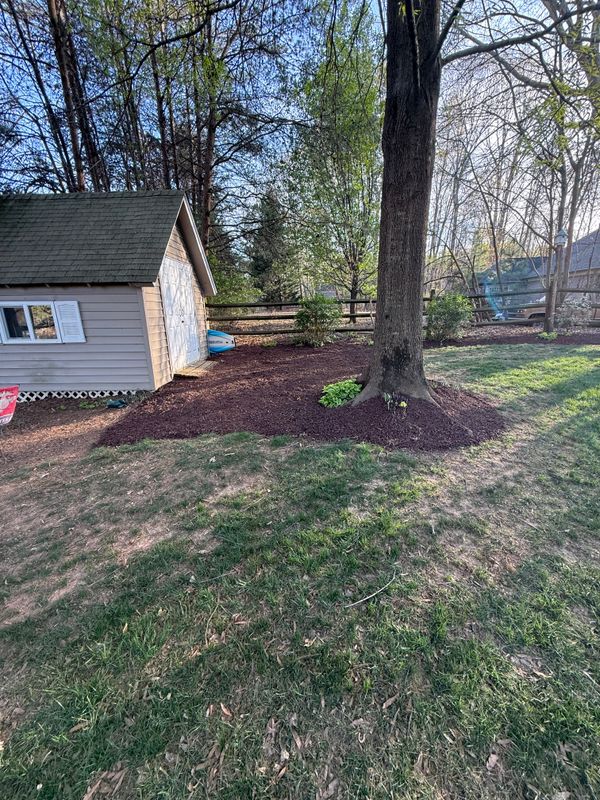 Mulch Installation