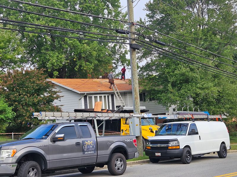 Shingle Roof Replacement