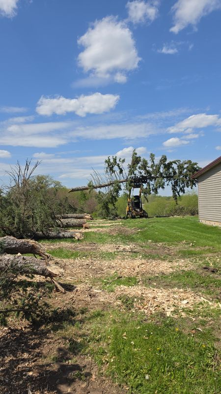 Tree Removal