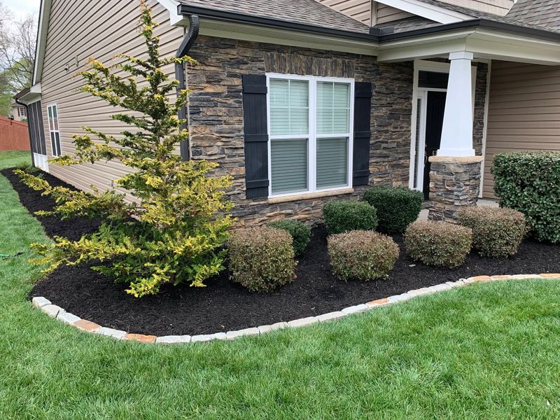 Landscape Design & Installation