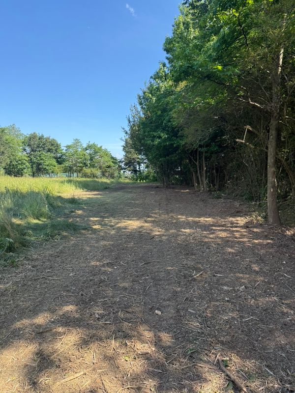 Land Clearing