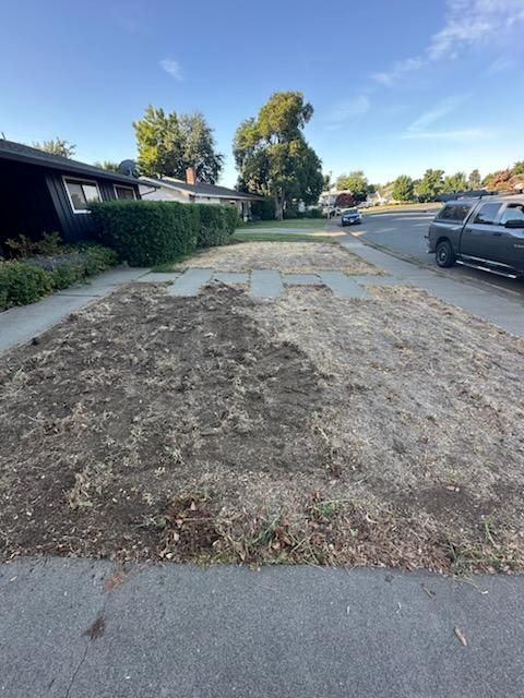 Lawn Maintenance