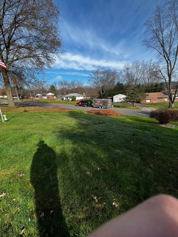 Landscaping