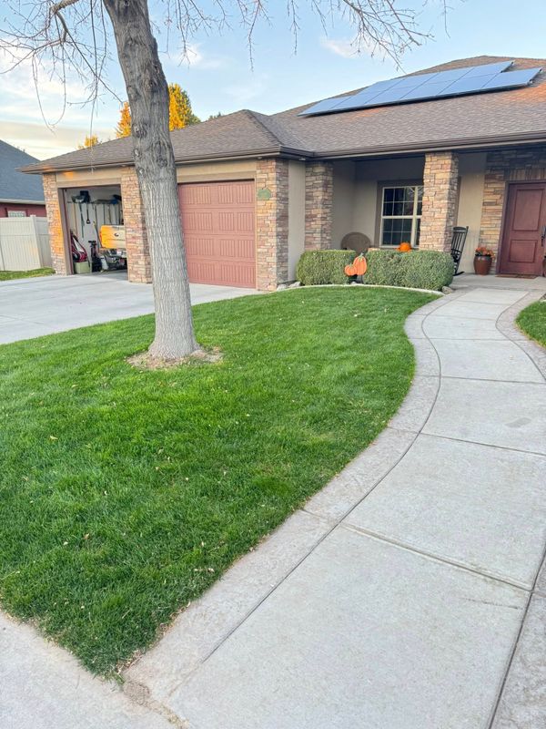 Lawn Maintenance