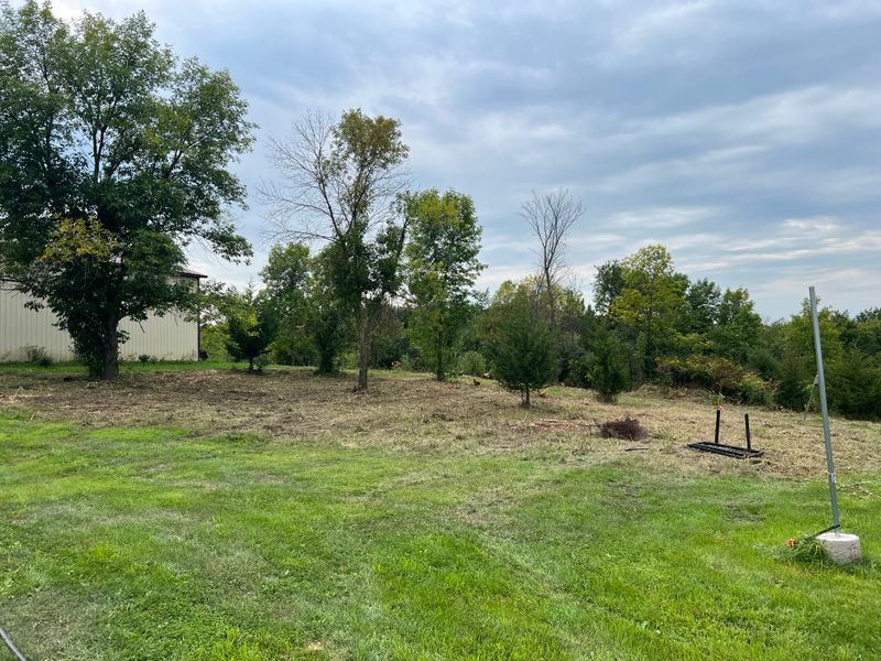 Brush Mowing