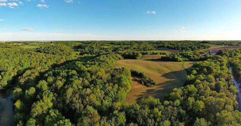 Large-Scale Mowing & Vegetation Management