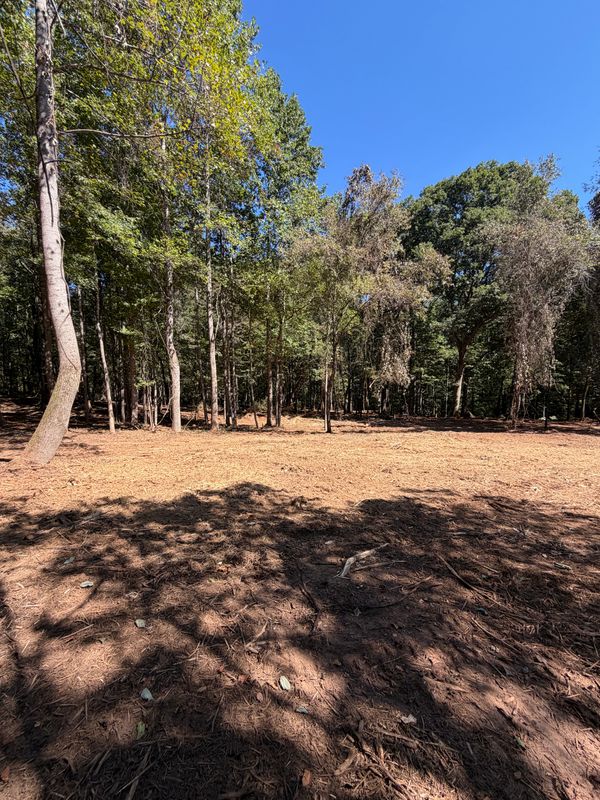Forestry Mulching