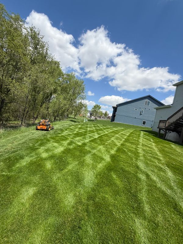 Lawn Care