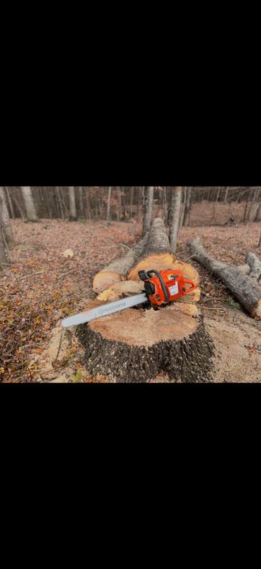 Stump Removal