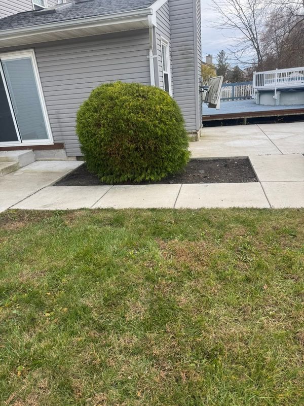 Bush Trimming