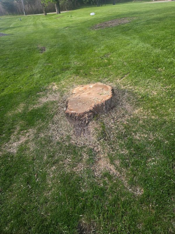Stump Grinding