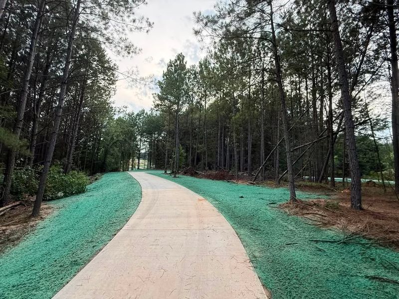 Hydroseeding