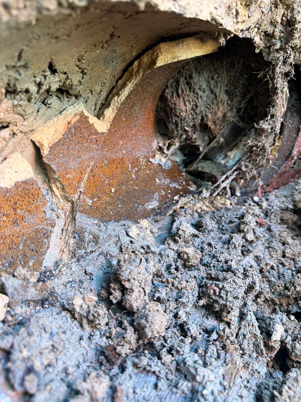 Sewer Line Repair