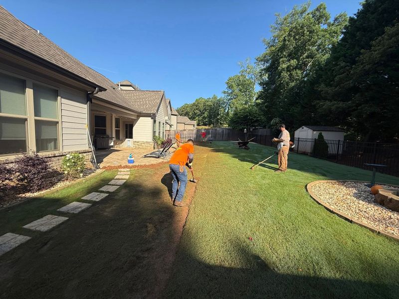 🌱 Sod Installation