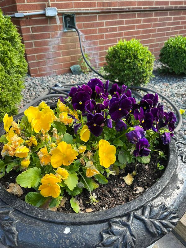 Landscaping