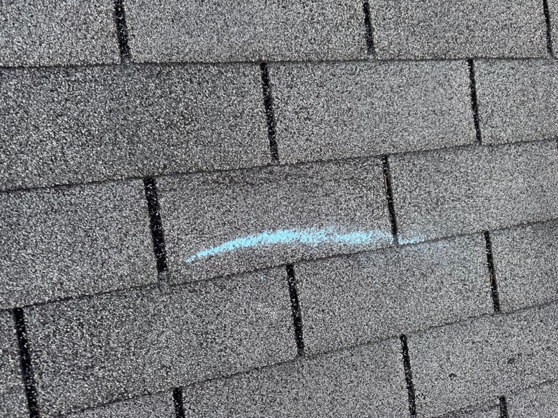 Roofing Consultations