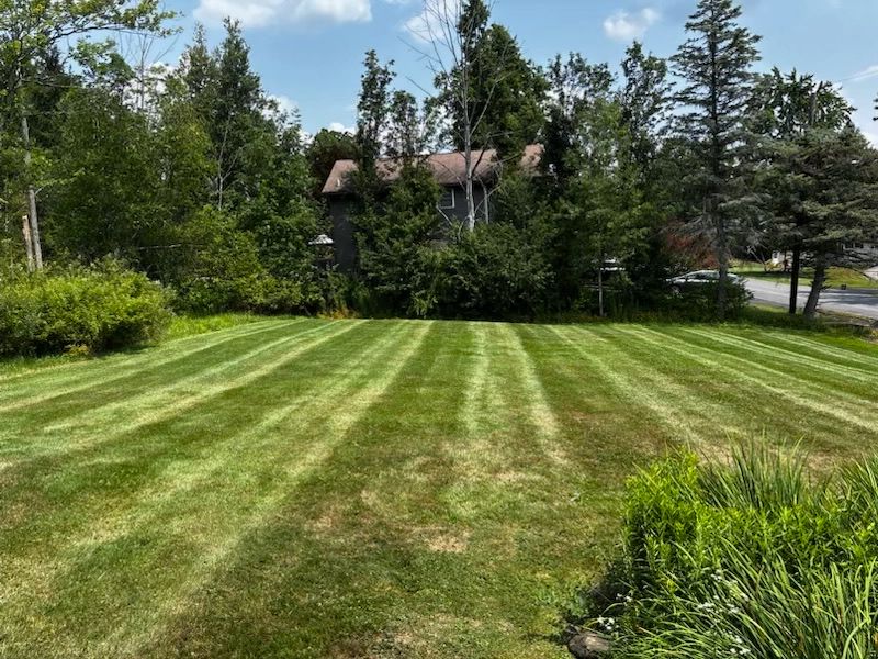 Lawn Maintenance