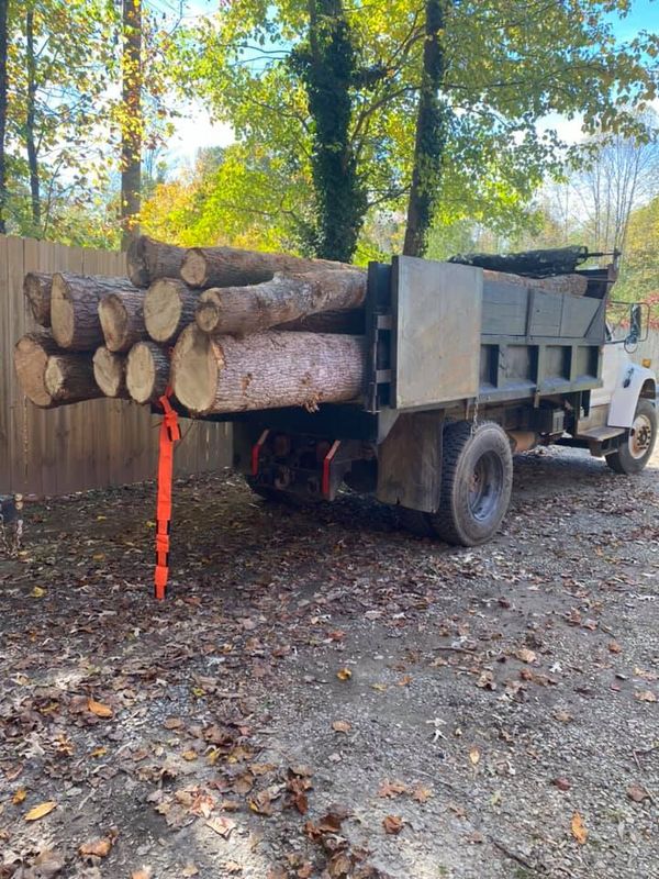 Debris Removal