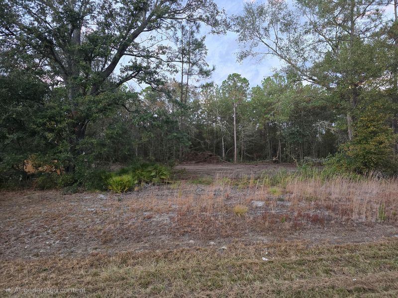 Land Clearing