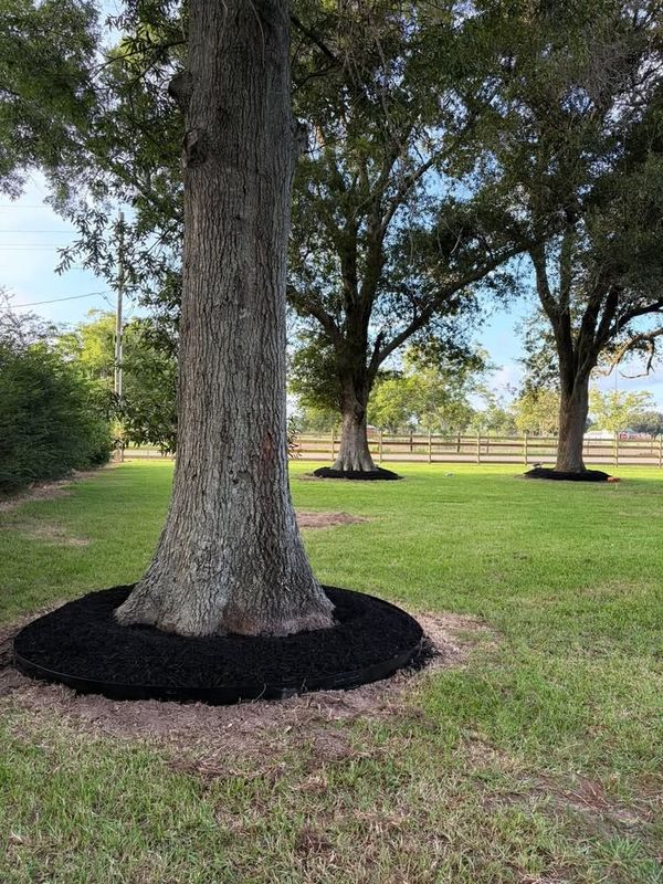 Lawn Maintenance