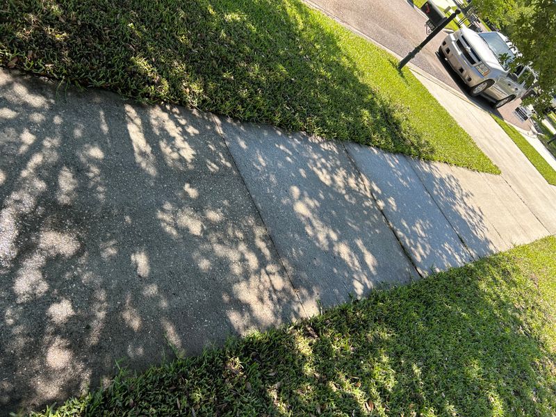 Driveway and Sidewalk Cleaning