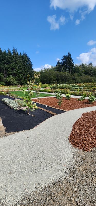 Landscape Installation