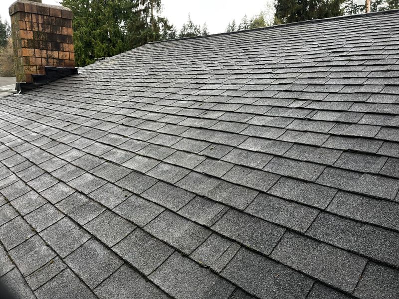 Roof Cleaning