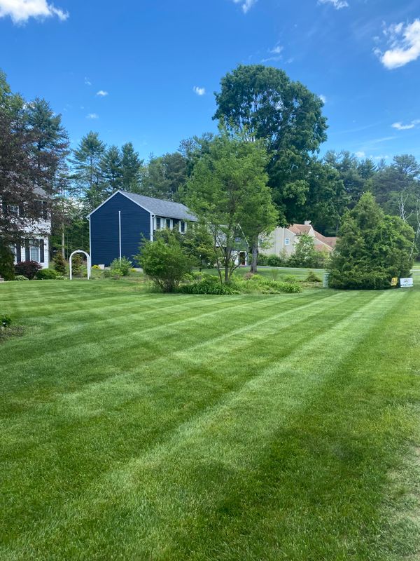 Mowing