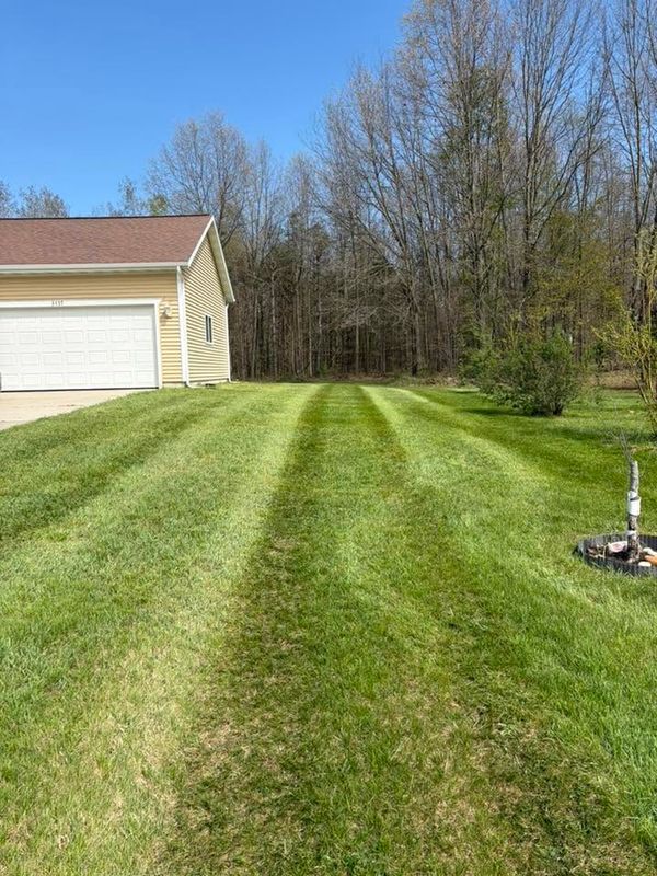 Beautiful Lawns