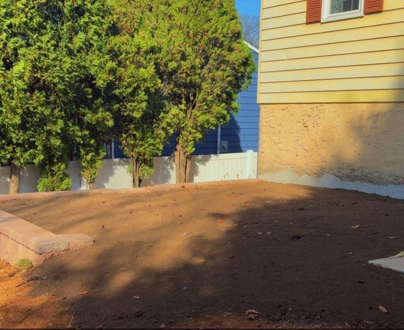 Sod Installation