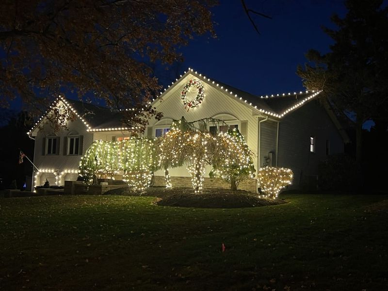 Christmas Light Service