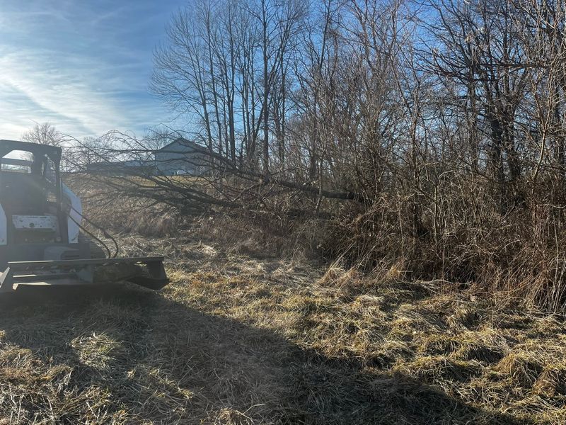 Land Clearing