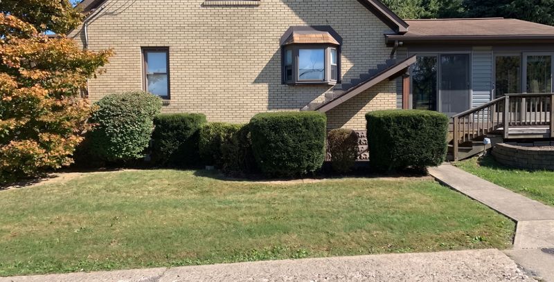 Shrub Trimming
