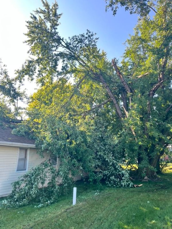 Storm Cleanup