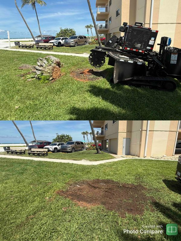 Stump Removal