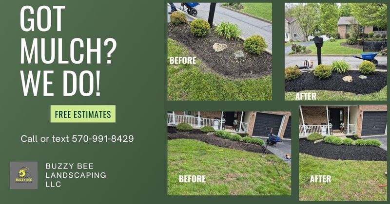 Mulch Bed Installation and Renovation