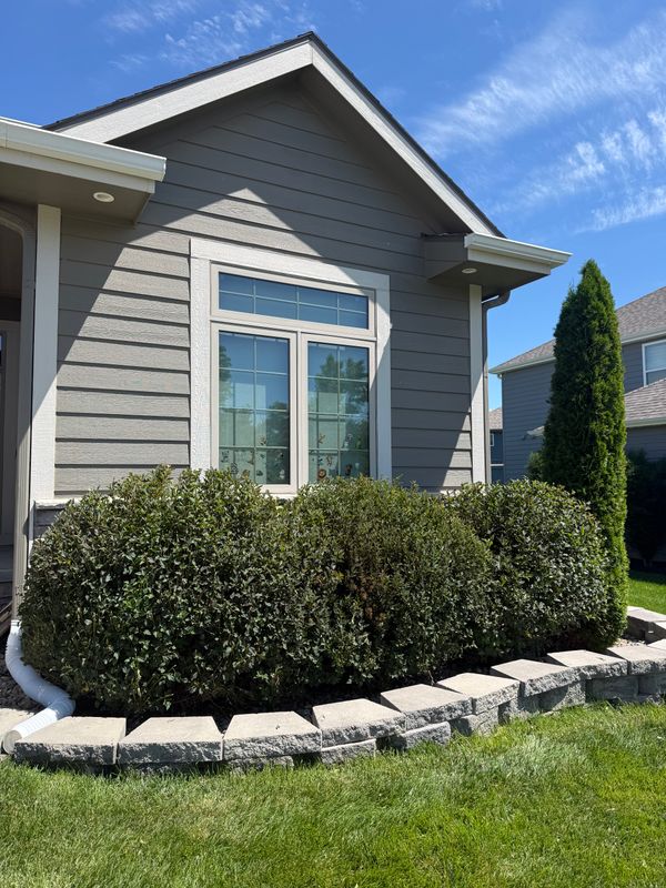 Landscape Design