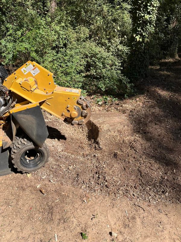 Stump Grinding and Removal