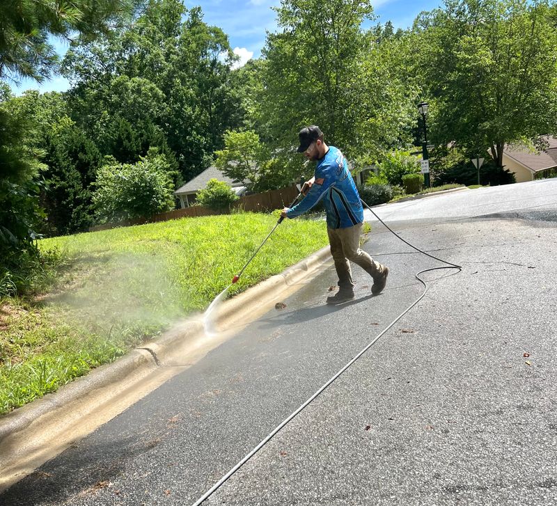 Driveway and Sidewalk Cleaning