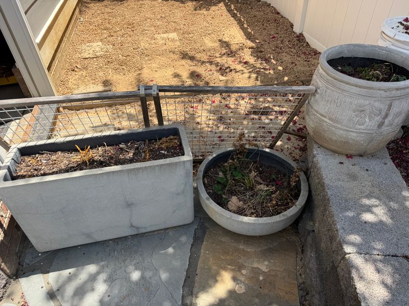 Planting gallery