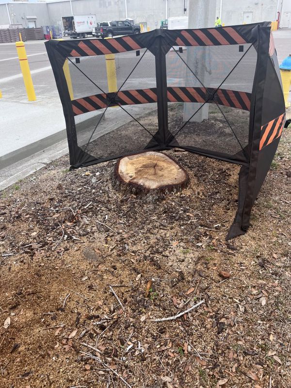 Stump Grinding